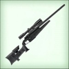 Blaser Light